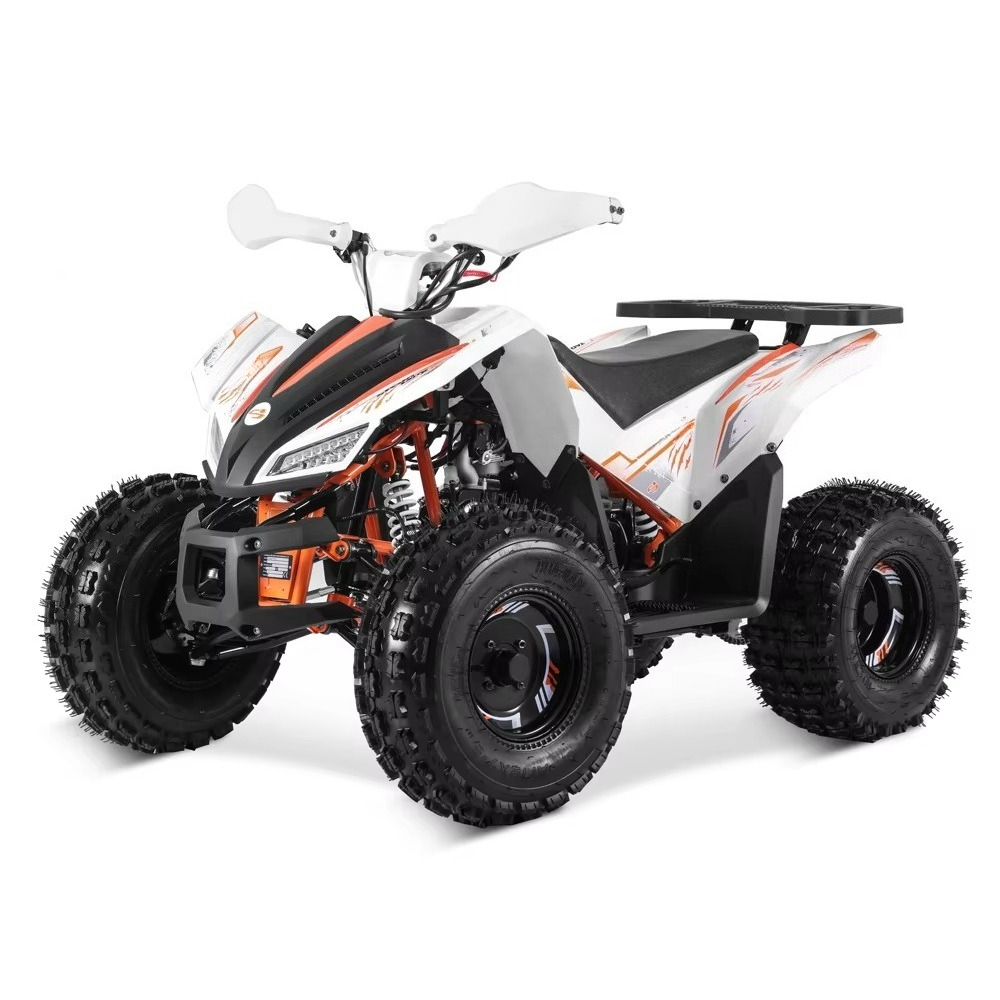 Stlf Tao Motor 2026 Nouveau Qu - Bike Chain avis et prix
